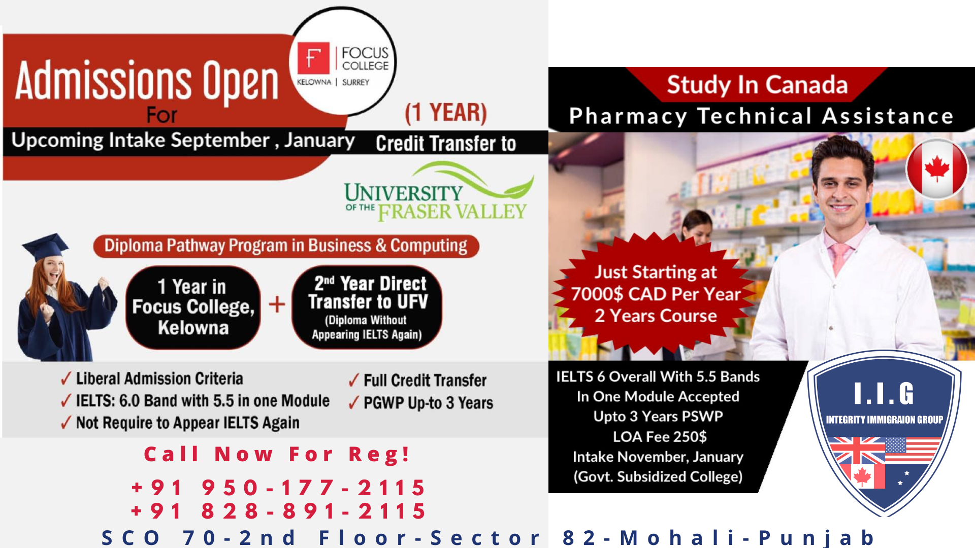 Focus College Canada - Integrity Immigration Group Punjab